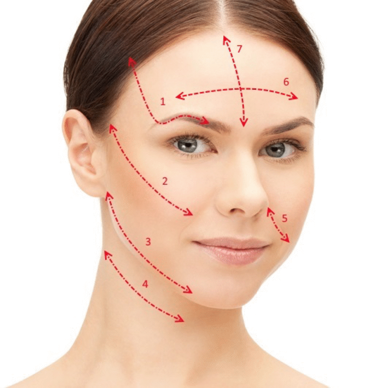 behandlungsregionen_fadenlifting_Main-Tauber-Klinik-Wertheim